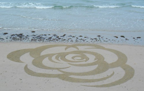 patelgé,land art,rake art,beach art,sand art,dessin sur sable,dessin au rateau,trestraou,perros-guirec,bretagne,sable,plage,art contemporain,art,dessin,rosa soram rosae